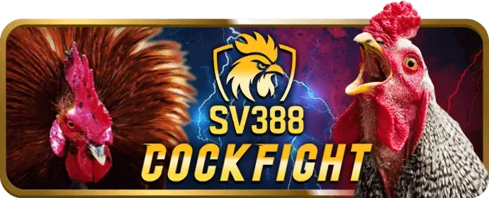 Chính sách quyền riêng tư minh bạch của i9bet151